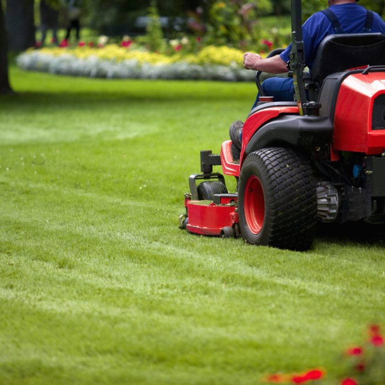 lawn mower cutting grass