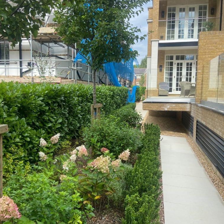 Picture of a communal garden in London